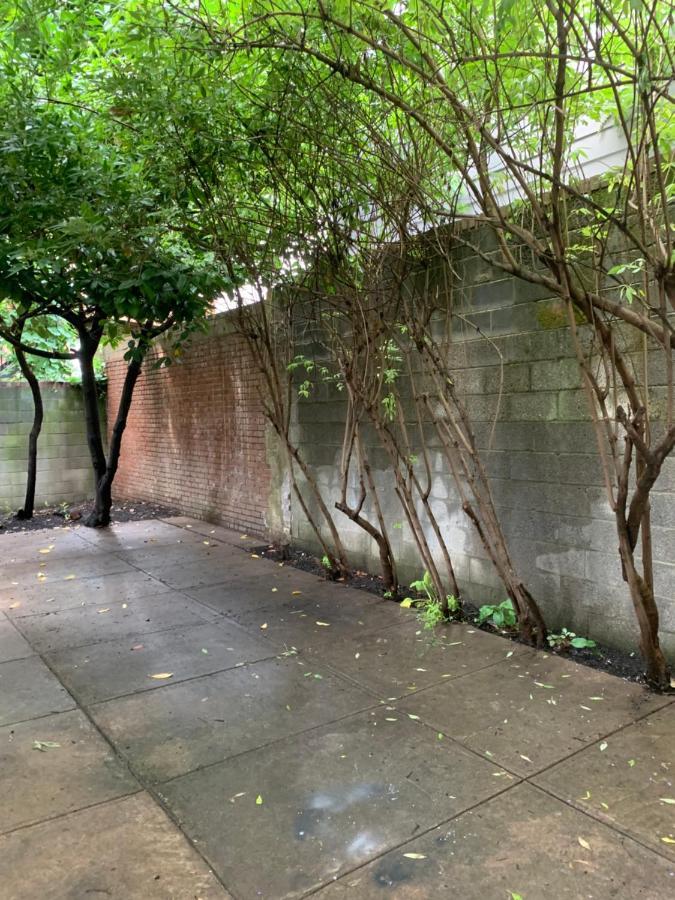 Renovated English Basement 2Bdrm Home Near Metro 워싱턴 외부 사진